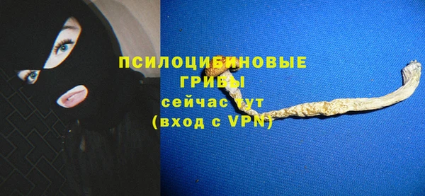 героин Алексин