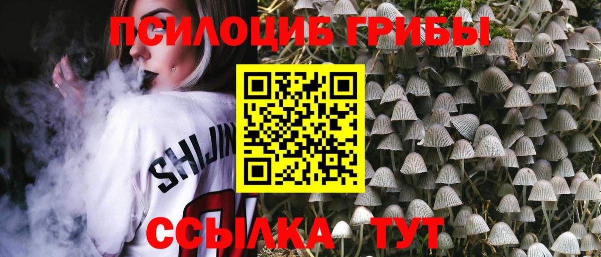 Галлюциногенные грибы Magic Shrooms  Вход с VPN  Мыски 